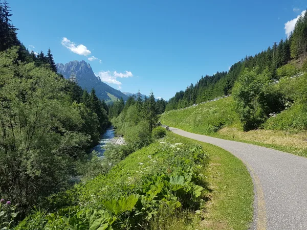 Sentiero immerso nella natura, simbolo di rallentamento e consapevolezza